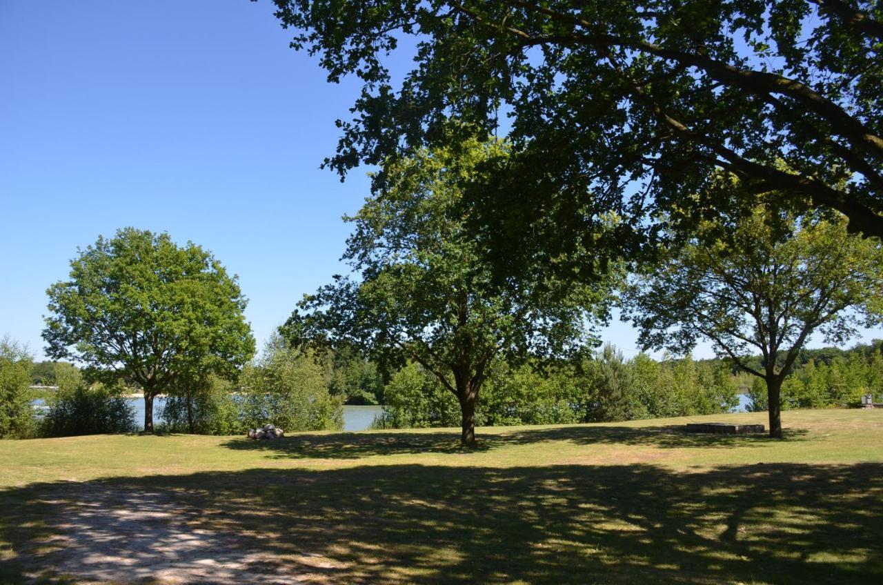 Drents Genieten - Lavendelheide Met Uitzicht Op Het Water Erm Extérieur photo