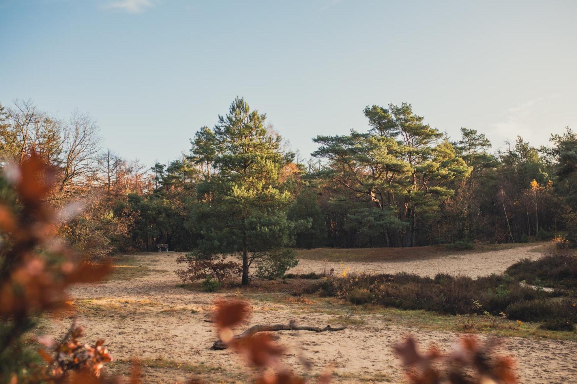 Drents Genieten - Lavendelheide Met Uitzicht Op Het Water Erm Extérieur photo