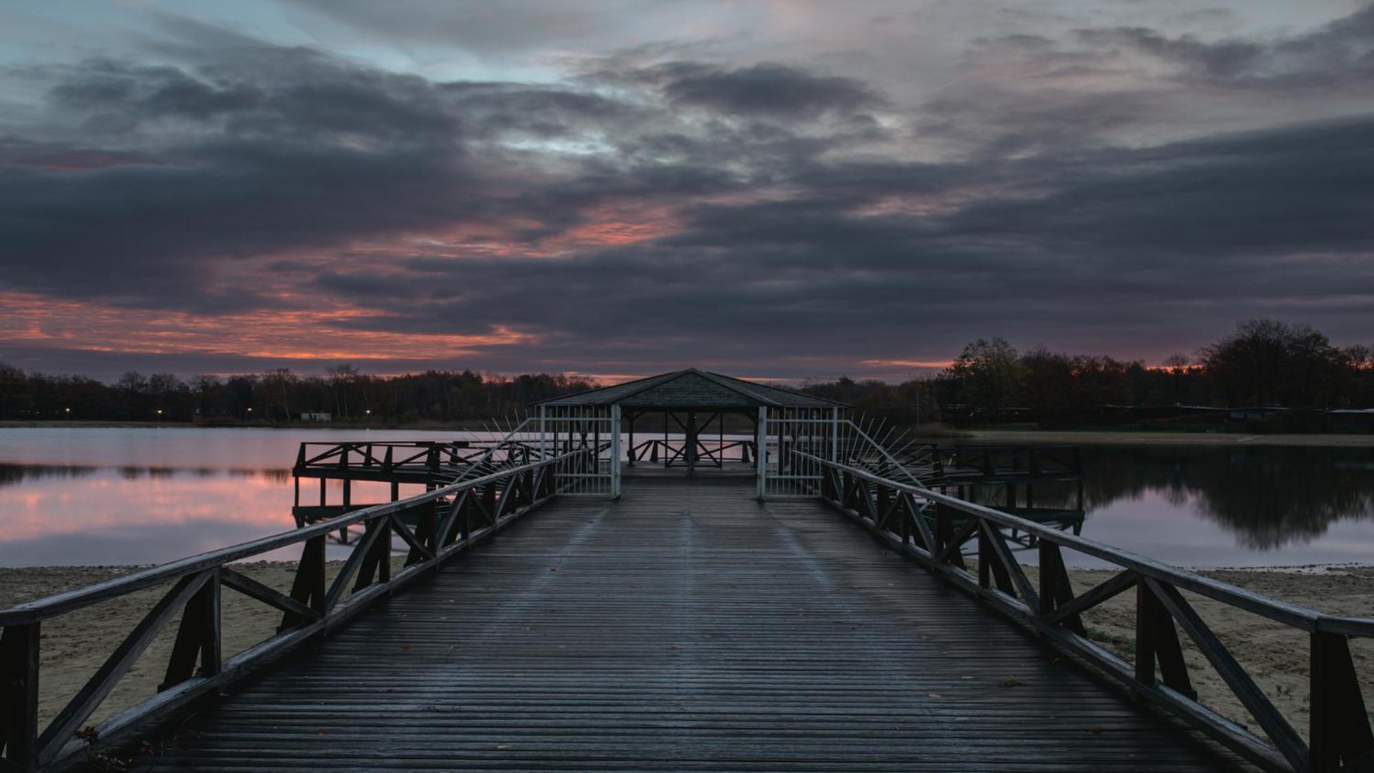 Drents Genieten - Lavendelheide Met Uitzicht Op Het Water Erm Extérieur photo