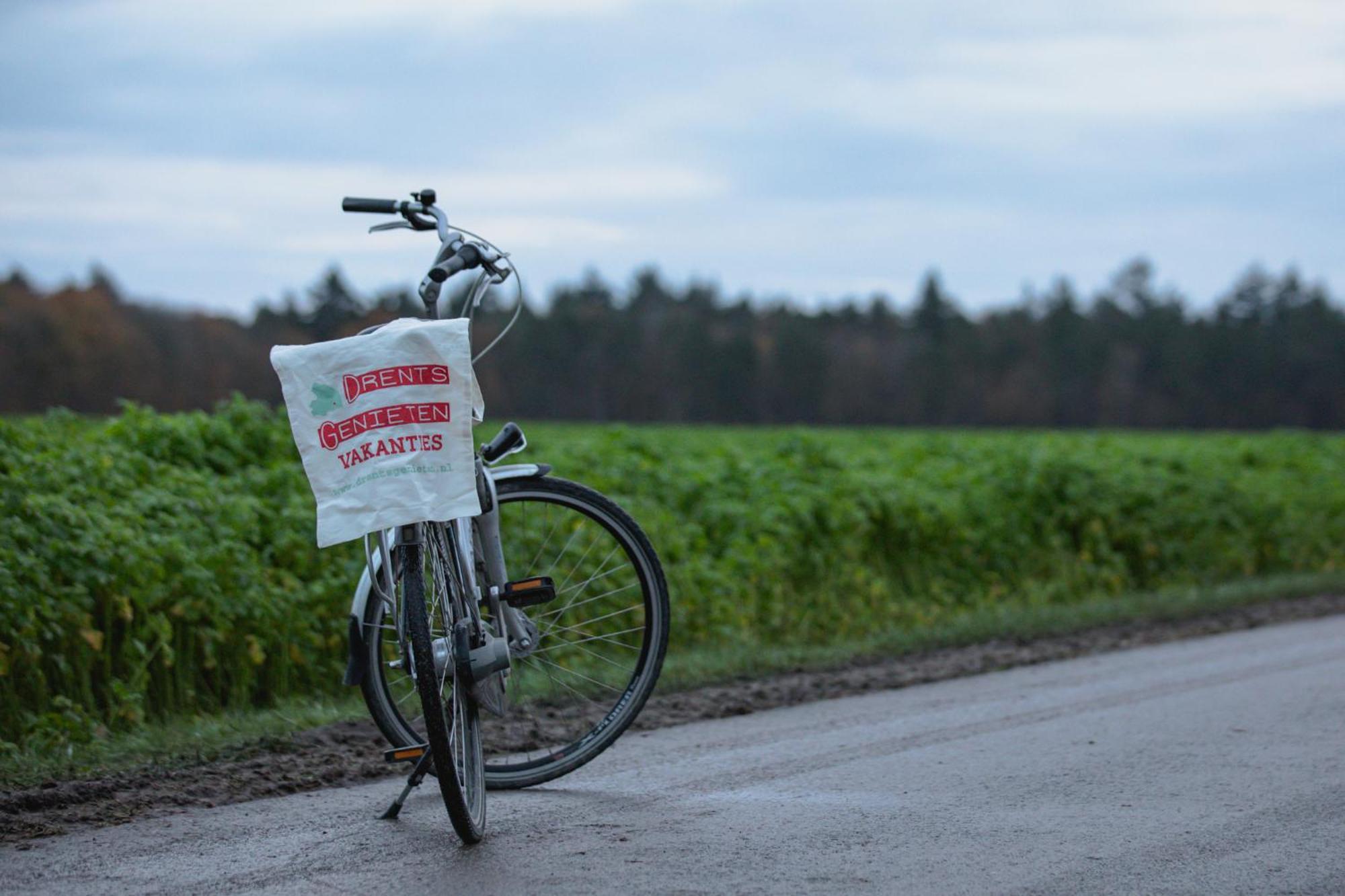 Drents Genieten - Lavendelheide Met Uitzicht Op Het Water Erm Extérieur photo